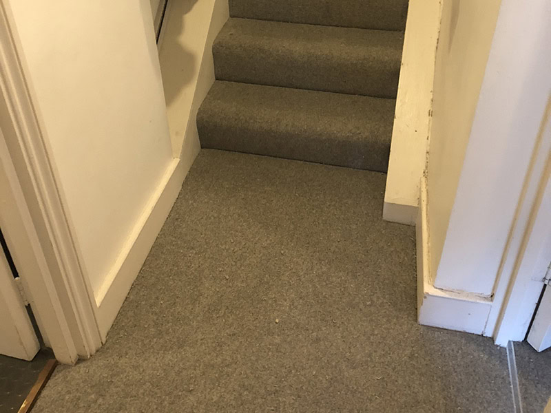 Westex Carpet Installed In Bayswater - Carpet - Bayswater - Residential