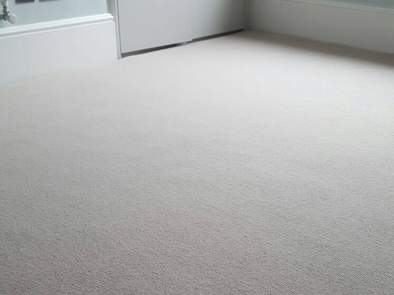 Carpet - Home 44121 - Carpet - Residential