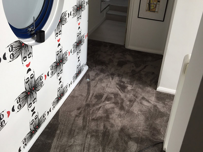 Carpet - Home 46173 - Carpet - Residential