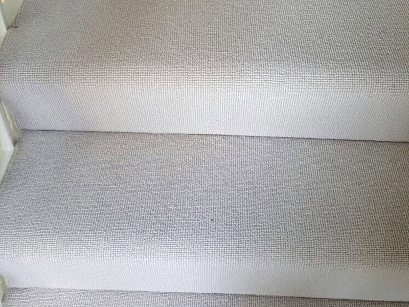 Carpet - Home 44512 - Carpet - Residential