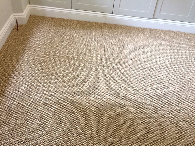 Carpet - Home 27029 - Carpet - Residential