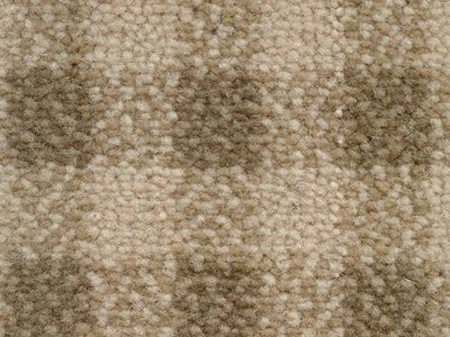 Joseph Hamilton Seaton Carpets - Fairmont - Carpet