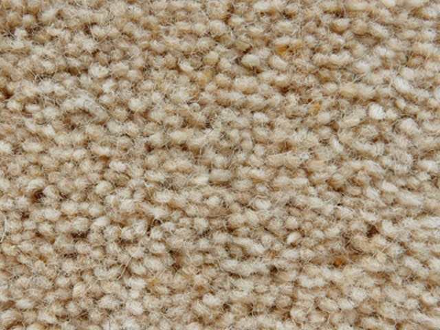 Joseph Hamilton Seaton Carpets - Haywood Twist Standard - Carpet - Wood Flooring