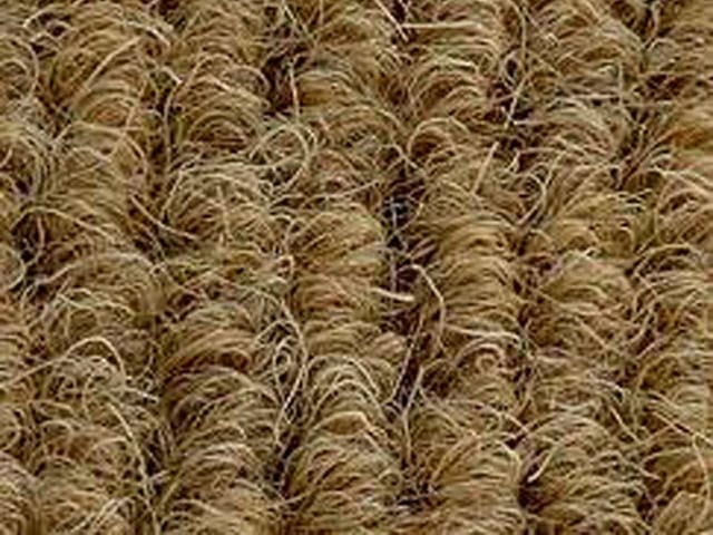 Joseph Hamilton Seaton Carpets - Brossmat Lite - Carpet