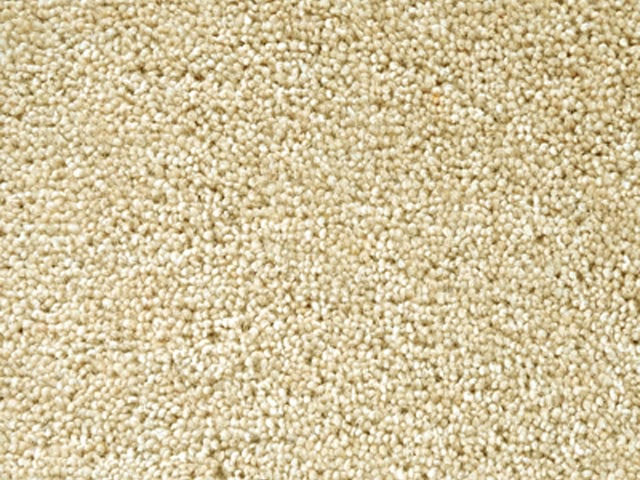 Joseph Hamilton Seaton Carpets - Haywood Twist Premier - Carpet - Wood Flooring
