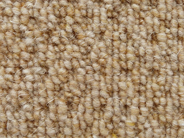 Joseph Hamilton Seaton Carpets - Armitage - Carpet