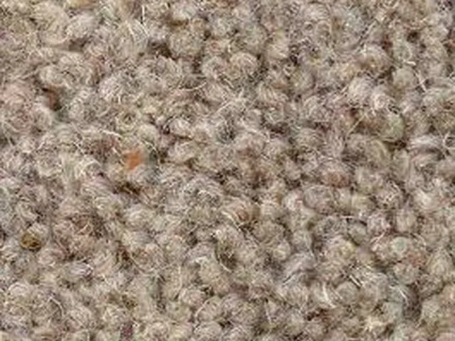 Joseph Hamilton Seaton Carpets - Elford Twist Premier - Carpet
