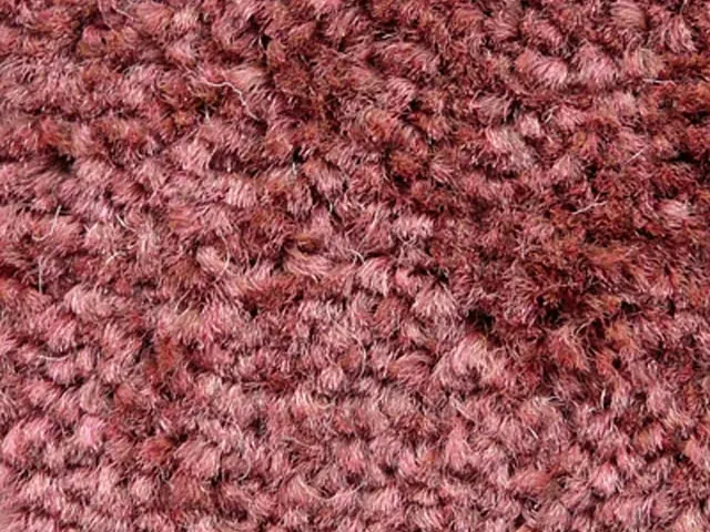 Joseph Hamilton Seaton Carpets - Hospi - Twist - Carpet