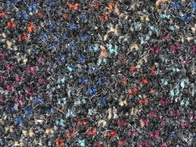 Joseph Hamilton Seaton Carpets - Plaza - Carpet