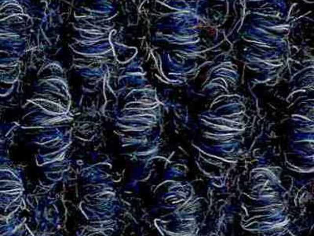 Joseph Hamilton Seaton Carpets - Zermatt Hobnail - Carpet