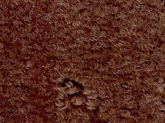 Joseph Hamilton Seaton Carpets - Vancouver Plus - Carpet