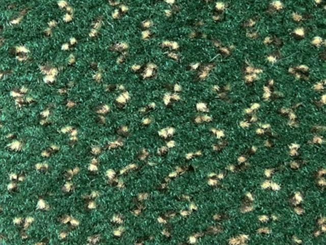 Joseph Hamilton Seaton Carpets - Albatross II - Carpet