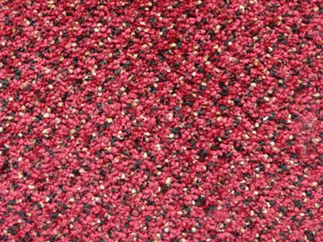 Joseph Hamilton Seaton Carpets - Hospi Elegance - Carpet