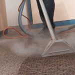 Effective Carpet Stain & Odour Removal Tips from Pet's Urine - Carpet