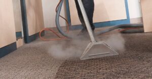 Effective Carpet Stain & Odour Removal Tips from Pet's Urine - Carpet