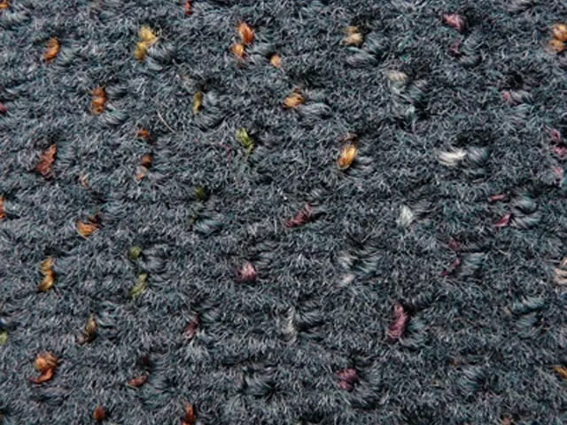 Joseph Hamilton Seaton Carpets - Consortium - Carpet