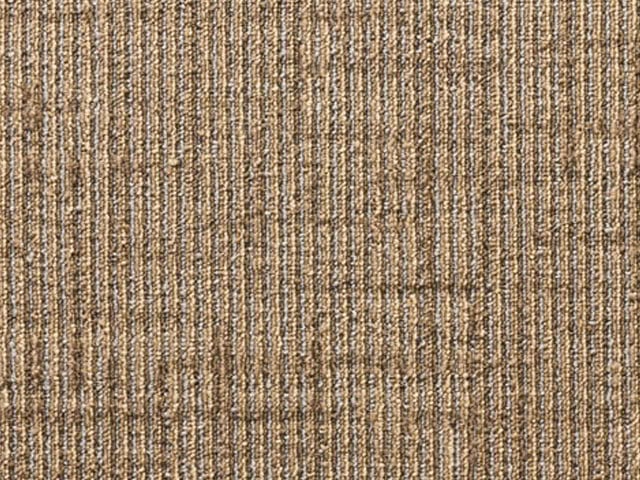 Ancillaries - Marligs Lateral Surface - Carpet