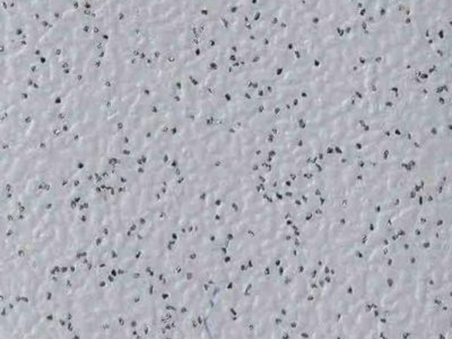 Joseph Hamilton Seaton Carpets - Safety Alpha - Carpet