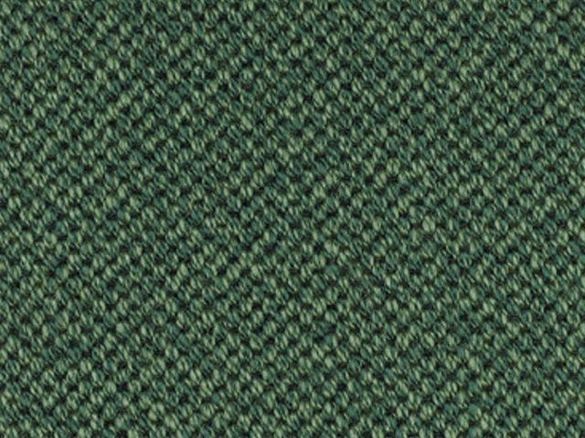 Mellau - Synthetic - Moos - Carpet