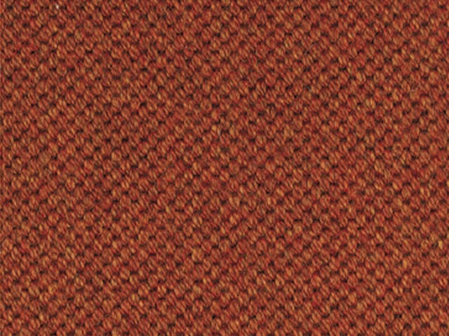 Mellau - Synthetic - Kupfer - Carpet