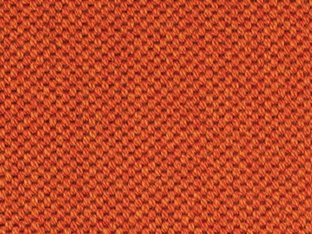 Mellau - Synthetic - Orange - Carpet