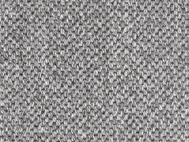 Mellau - Synthetic - Graphit - Carpet