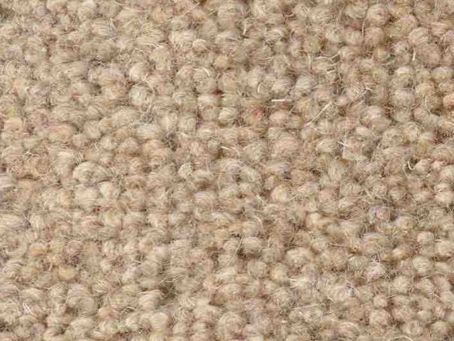 Joseph Hamilton Seaton Carpets - Bromley Standard - Carpet