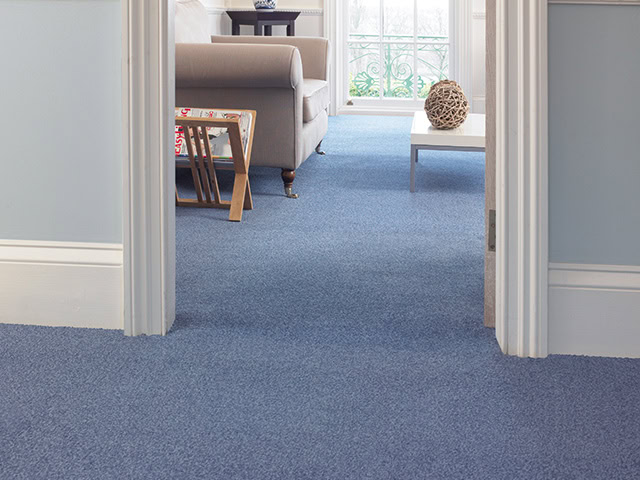 Abingdon Flooring - Stainfree Prince - Carpet