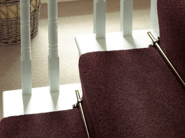 Adam Carpets - Fine Worcester 8FW107 Welland Wine - Carpet