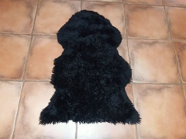 Barnscroft - Sheepskin Rugs - Curlywhirly Single Curly Wool Sheepskin - Carpet