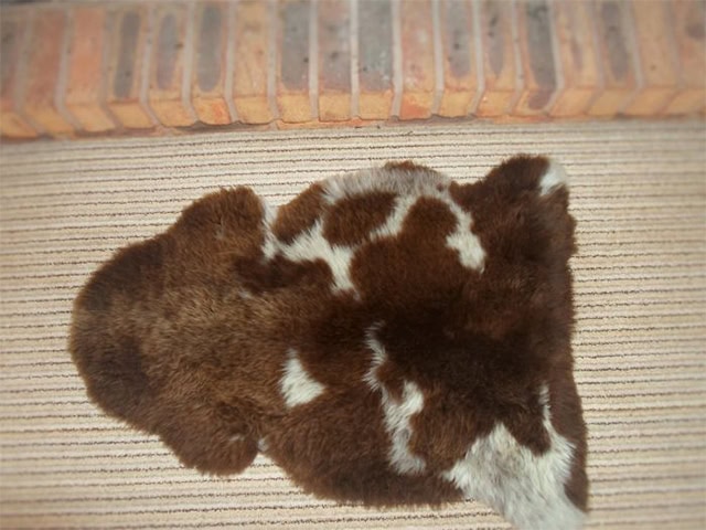 Barnscroft - Sheepskin Rugs - Luxury Natural Jacob Sheepskin - Carpet