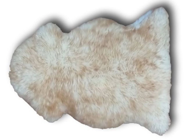 Barnscroft - Sheepskin Rugs - Single Brown Tipped Sheepskin - Carpet
