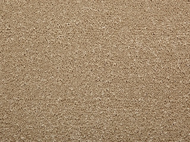 Clarendon Carpets - Easycare Anti - Stain - Allure - Carpet