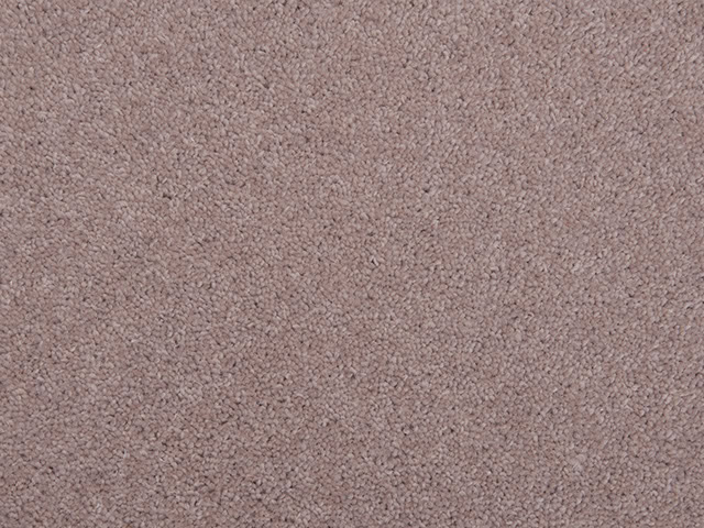 Clarendon Carpets - Wool MIX Twist Piles - Belvedere Twist - Carpet