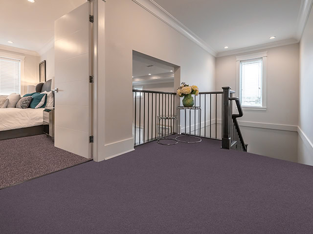 Contempo Carpets - Nexus Grape - Nexus Mouline Grape & Heather - Carpet