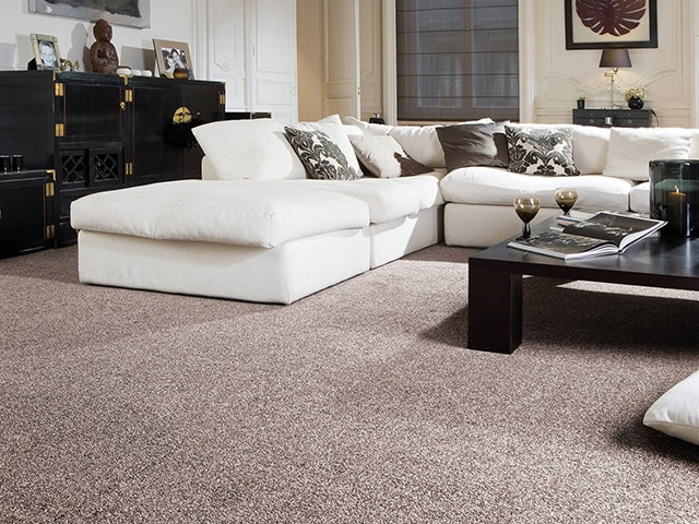 Crown Floors Avondale - Carpet