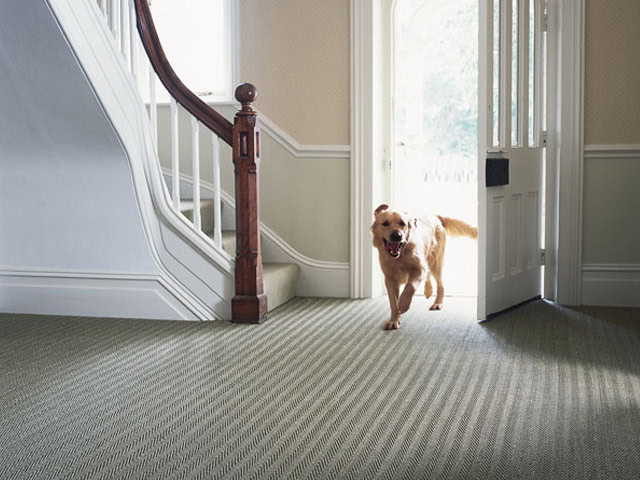 Crucial Trading Seagrass Fine Herringbone - Carpet