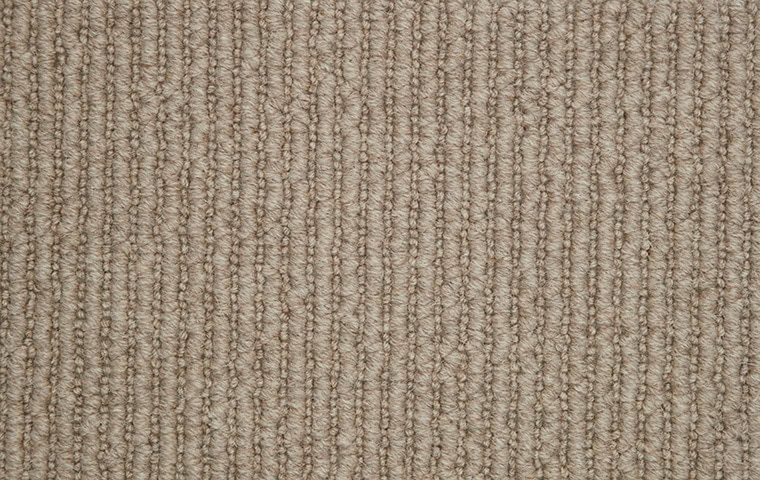 Crucial Trading - Wool - Pride - Carpet