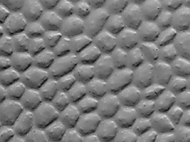 Dalsouple Rubber - Martelé - Rubber Flooring