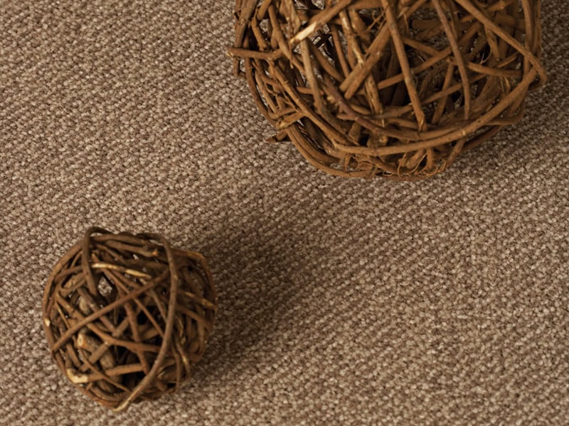 Westex Carpets - Designer Point - Carpet