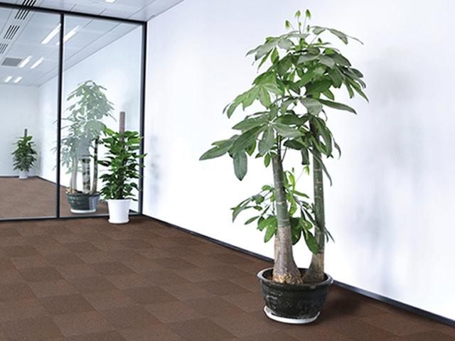 Dyne Carpet Tiles - New Area - Carpet - Porcelain Tile Flooring