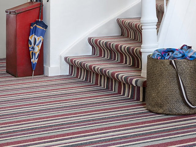 Edel Telenzo Carpets - Hammersmith 155 - Carpet
