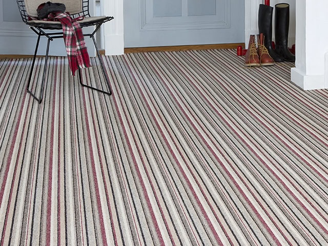 Edel Telenzo Carpets - Piccadilly 155 - Carpet