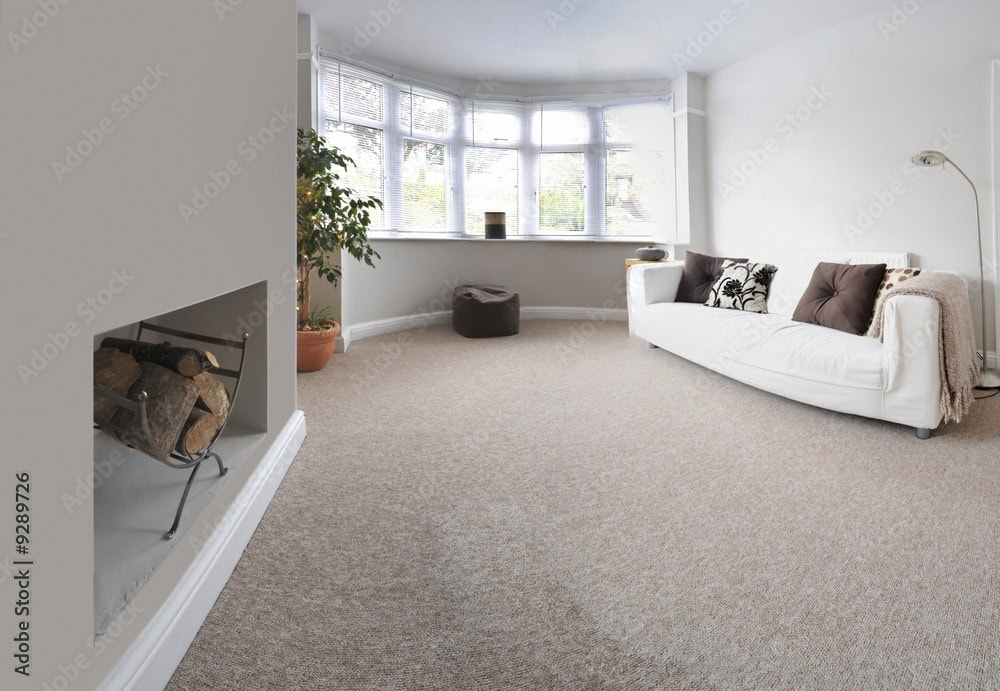 Finding the Best Carpet for Your Living Room - Carpet