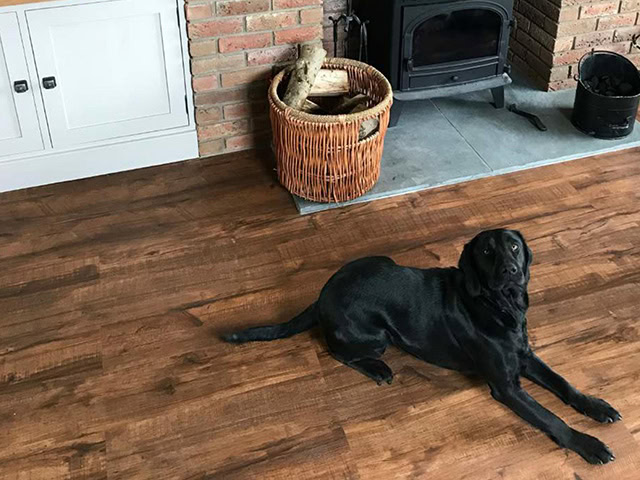 Floors for Paws - Whiteleaf - Rubber Flooring