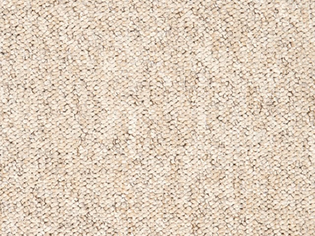 Florco - Festival Actionbac - Carpet