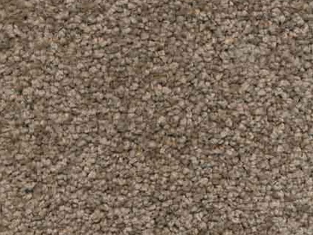Florco - Sentiment - Carpet