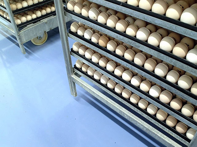 Flowcrete - Grampian - Floecoat SF41 - Resin Flooring