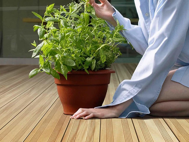 Futura Floors - Outdoor Decking - Garapa - Wood Flooring