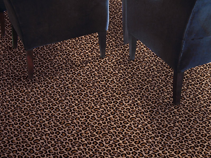 Hugh Mackay Carpets - Safari - Ocelot - Carpet